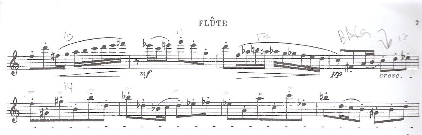 Doppler Concerto For Two Flutes Program Notes Band